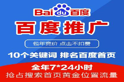 成功SEM服务案例分析报告